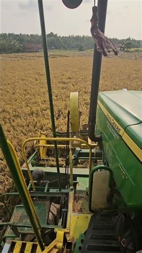 Golden hours, fruitful yields 🌾 #harvest #vibes #farming #hometown #new #travel #nature #love #1k