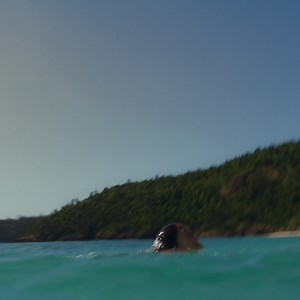 See things a little differently on a tropical island unlike any other. | Hamilton Island