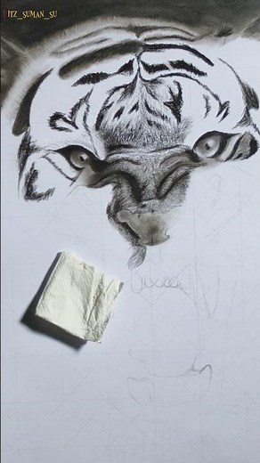 Realistic Tiger Drawing | Graphite & Charcoal | Step-by-Step Shading Process