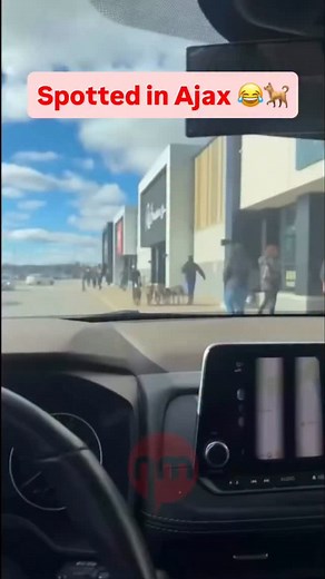 32K views · 622 reactions | Did you guys see this?  : User...