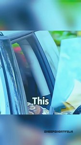 The woman solves the problem of her neighbor occupying her parking space with one trick | Sheep Short Film