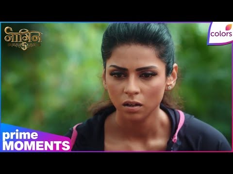 Naagin S5 | Highlights Ep. 13 | Peacock Eats Snake Near Jai Body | Colors TV