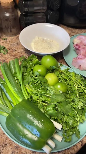 Delicioso Jocon Guatemalteco: Receta Auténtica y Sabrosa