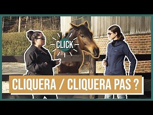 They are discovering clicker training!