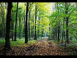 Munte, munte frate drag Simion Moise Ramona Vita