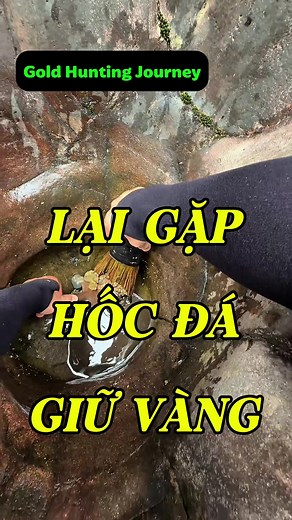 Đi đào vàng: Lại gặp hốc đá giữ vàng