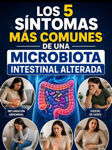 Síntomas más comunes de una microbiota intestinal alterada. #microbiota #microbiotaintestinal #intestino #saluddigestiva #saludintestinal