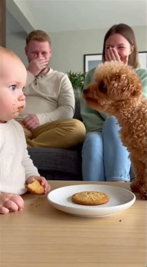 🍪Baby Was Eating… Then This Happened😭🐩
