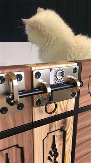 DIYラッチ × スムーズ動作｜何度も動かしたくなる✨#DIYラッチ #精密動作 #木工メカ #自作金具 #LatchCraft精密