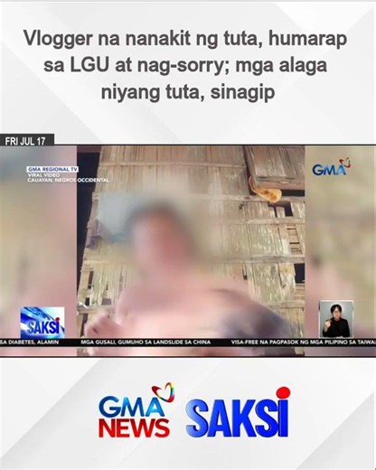 Vlogger na nanakit ng tuta, humarap sa LGU at nag-sorry; mga alaga niyang tuta, sinagip | Saksi