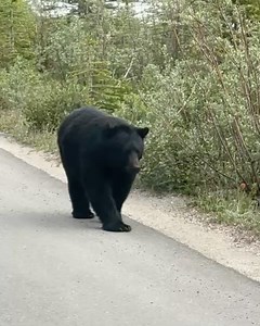 Christian Bischoff on Reels