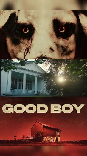 Good Boy: Part 1 - Spanish Horror Movie
