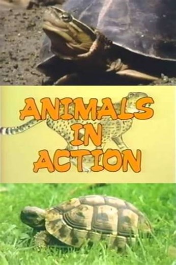 The Turtle Family (1988) - Movie