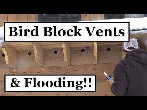 #295 - Installed Bird Block Vents For Rafters, Attic And Flooding (More Snow!)