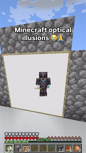 Clouzza on Instagram: "Minecraft optical illusion is crazy 😭 #minecraft #clouzzaminecraft #minecraftmemes #minecraftviral #viral"