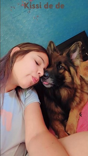 German shepherd kisses girl | Dog kissing girl #trending #shorts #dogshorts #pets #petlover #ytshort