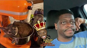 88K views · 4.2K reactions | Another Reason Why I Don’t Eat Other...