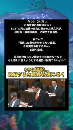 #政治 #SOGI