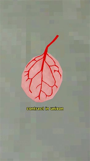 Spinach Transformed Into Heart #shorts #memes | CGI View