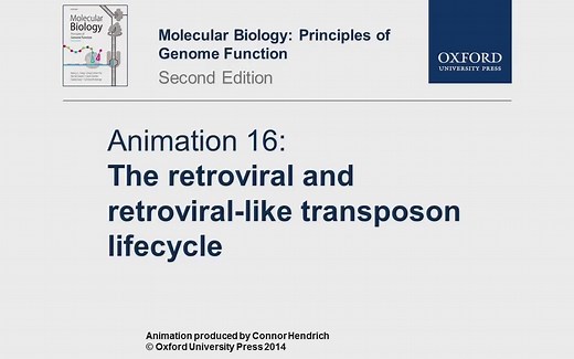 【动画】逆转录病毒和转座子 The retroviral and transposon lifecycle《分子生物学：基因功能原理》16
