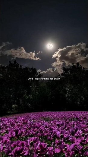 Aurora Runaway Lyrics || And I Was Running Far Away Lyrics |I #runaway #aesthetic #lyrics #aurora