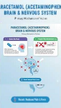 How Does Paracetamol (Acetaminophen) Really Work? The Science of Pain & Fever Relief