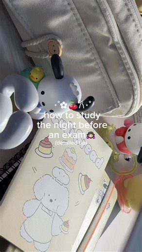 Tamanna Afsari | The night before an exam is honestly not the time to start panicking or opening brand new chapters ❎ Whatever you’ve studied till now is... | Instagram