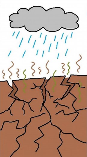 Petrichor: Smell of RAIN on Dry Earth