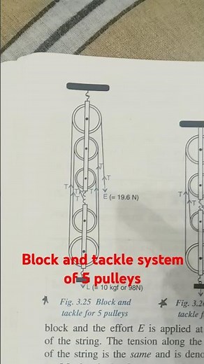 block and tackle system of 5 pulleys