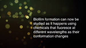 In a new study published in npj Biofilms and Microbiomes, a research team in Sweden have synthesized a new “smart” compound that is set to shine a light on the clandestine life of infectious bacteria. Read the article online: http://go.nature.com/2gf2jMe | Nature Portfolio