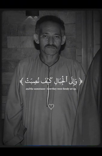 9K views · 163 reactions | Gamal El Sharkawy on Reels | Facebook