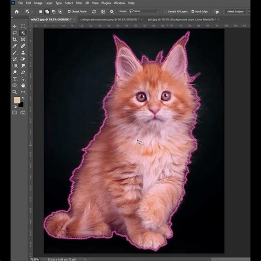 🔥 Mastering the Art of Precision:Perfect Fur & Animal Hair Selection + Advanced Masking in Photoshop