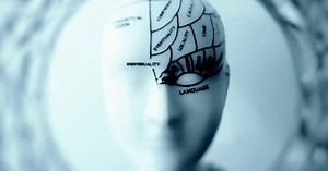 15 characteristics of highly intelligent people