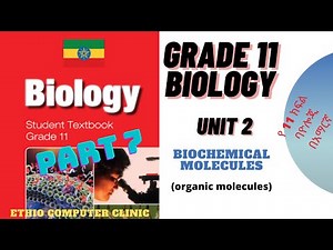 Ethiopia Grade 11 Biology - Unit 2- Part 7| Organic molecules (የ11ኛ ክፍል ባዮሎጂ - ምዕራፍ 2 - ክፍል 7)