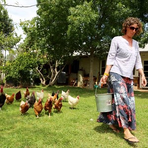 163K views · 151 reactions | Sam Statham’s family moved to Canowindra when they bought an overworked piece of land nicknamed ‘the Nullabor’. They set about transforming it into an organic and sustainable farming community. Eight families now live on the place and they’ve basically turned their backs on traditional farming methods. #BackRoads | ABC Central West | Facebook