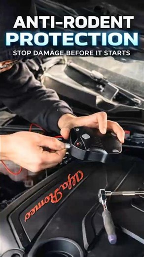 NYC Rat Damage Prevention for Cars | Stop Rats Chewing Car Wires (Brooklyn & Queens)