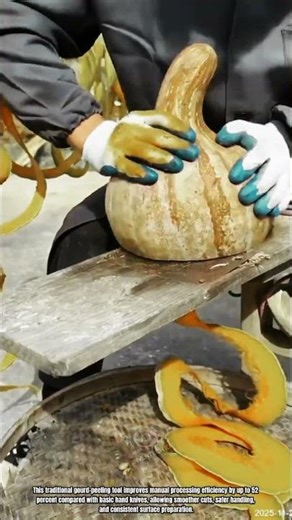 Best Innovation Tools: How to Peel Dried Gourds with Smooth Precision