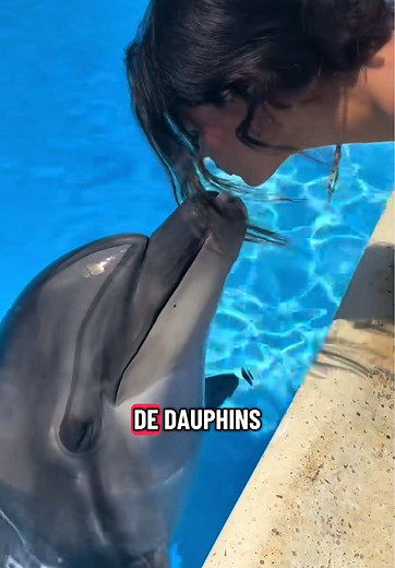 Pourquoi vous leur faites encore confiance sérieux ? #animaux #dauphin