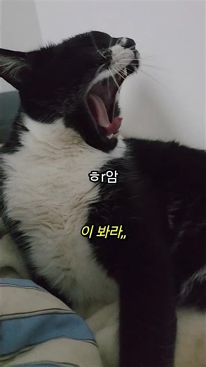 No matter what you say, it doesn't work at all.