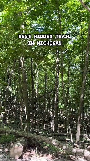 61K views · 811 reactions | The Empire Bluff Trail in the Sleeping Bear Dunes National Lakeshore is one of the shortest in the park with a breathtaking lookout. #lakemichigan #michigan #travel #travelmichigan #michigantravel #sleepingbeardunes #thingstodoinmichigan | MLive.com | Facebook