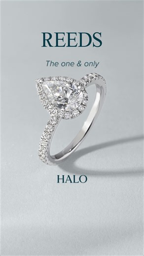 ✨ From timeless solitaires to bold halo designs, discover every engagement ring style — all in one place. Find the ring that tells your love story. ❤️ Access our huge selection from wherever you are—in-store experts and online associates are both ready for real-time help. | Reeds Jewelers | Facebook