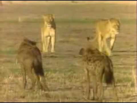 He Who Greets With Fire