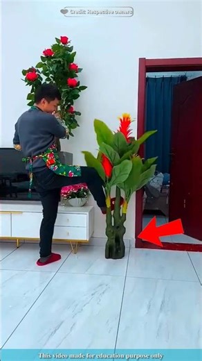 Wall decoration stickers |#shortsvideo