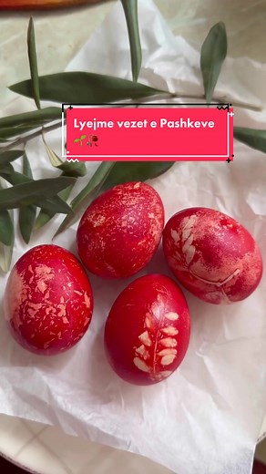 Traditional Albanian Easter Egg Dyeing at Home 🌱🥀