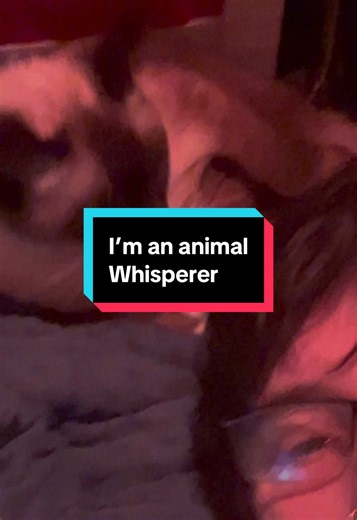 I’m the #catdaddy #catwhisperer #animalwhisperer #terms #boundaries