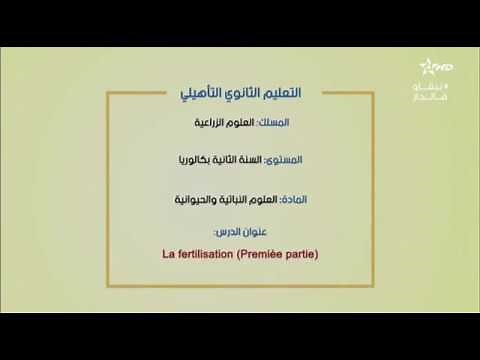 Cours : la fertilisation (1ere partie)