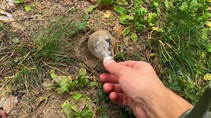 3.9K views | 5-Minuten Tricks on Reels | Facebook