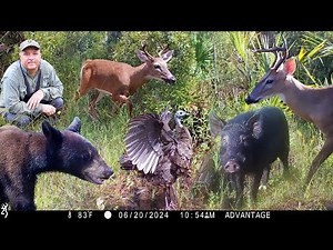 Tim Harrell Browning Trail Camera Pickup