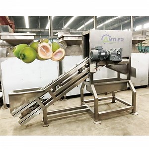 [Hot Item] Commercial Green Coconut Water Making Machine Factory Directly Supply Coconut Cutter