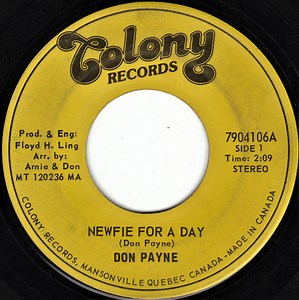 Don Payne - Newfie For A Day